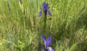 Hidden lake Circle lot 40 Ab, Angel Fire, NM 87710