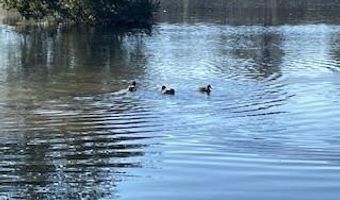 14 Robin Rd, Barnwell, SC 29812