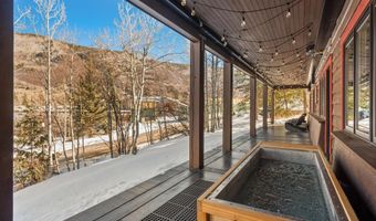 1271 Ute Ave, Aspen, CO 81611