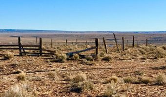 N7009 40 Acres, Chambers, AZ 86502