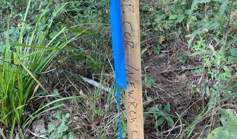 0 Pisgah Rd 4, Brandon, MS 39047