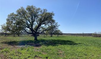 Tract 3 Co Road 323, Carbon, TX 76435