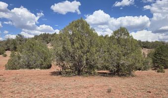 215 Off Cathedral Vly, Ash Fork, AZ 86320