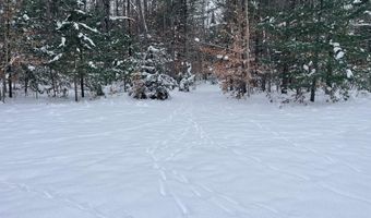 9606 MUNGER Rd, Afton, MI 49705