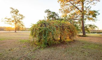 3190 Radio Station Rd, Alma, GA 31510