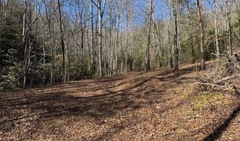 1834 Bristol Ave, Andrews, NC 28901