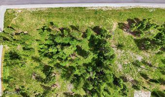 NNA Estate at Farragut Lot 3 Blk 1, Athol, ID 83801