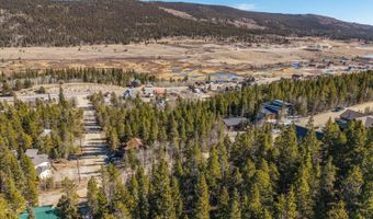 431 N Aspen St, Alma, CO 80420