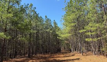 MOUNTAIN CUT RD lot D, Appomattox, VA 24522