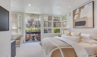 708 E Hyman Ave, Aspen, CO 81611