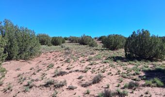 SW236 N9233, Concho, AZ 85924