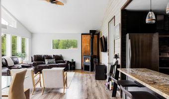 133 GOLD RUN Rd, Alma, CO 80440