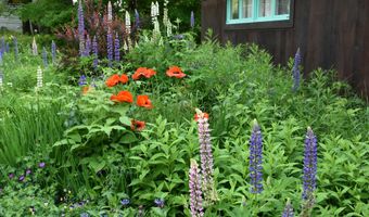 26 Woodland Dr, Barre, VT 05641