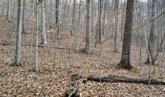 3 Flat Creek Rd, Alkol, WV 25501
