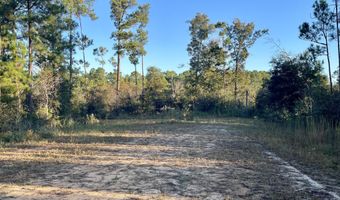 Pisgah Court, Alford, FL 32420