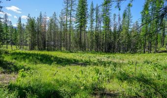 NKA Meadowland Drive, Blanchard, ID 83804