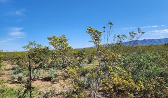 Lot 4 E Willys Run Road, Bisbee, AZ 85603