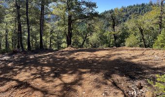 Agness-Illahe Rd, Agness, OR 97406