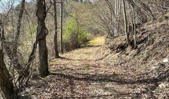 1679 Poplar Knob Rd, Austinville, VA 24312
