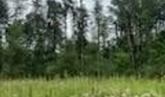 6130 Thornapple River Dr SE, Alto, MI 49302