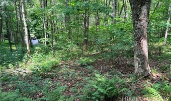 Chestnut Mountain Road, Banner Elk, NC 28604