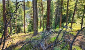 16 Sarah Way, Cascade, ID 83611