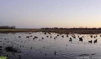 3300 Sheppard Island Rd, Altheimer, AR 72004