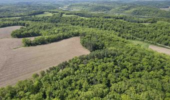 33 44 Acres Zwettler Rd, Arena, WI 53517