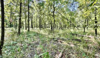 Flint Rd. E 0, Attica, IN 47918