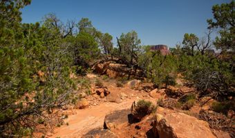 343 TAYLOR Ln 343, Castle Valley, UT 84532