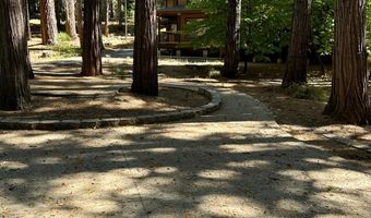 1428 Meadow Dr, Arnold, CA 95223