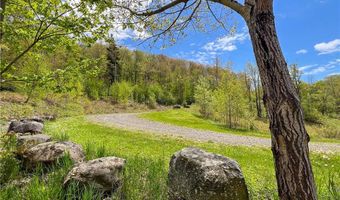 State Route 28 lot # 10, Andes, NY 13731