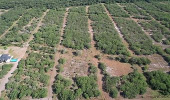209 CR 1461, Alice, TX 78332