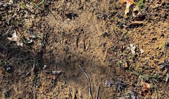 0 W Captina Highway Rd, Alledonia, OH 43902