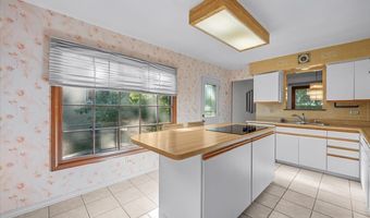602 E Hackberry Dr, Arlington Heights, IL 60004