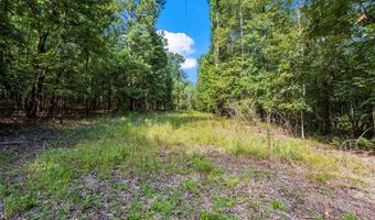 217 Toole Plantation Rd, Beech Island, SC 29842