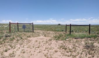 River Meadows Ranch lot 214, Concho, AZ 85924