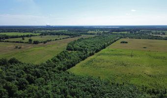Pine Prairie Rd, Ashdown, AR 71822