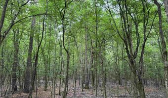 mt Olive Road, Arkadelphia, AR 71923
