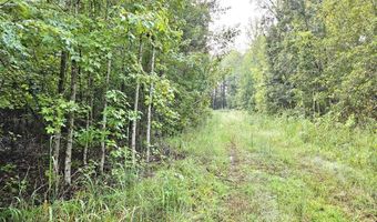 TBD Plowden Mill Road Tract D, Alcolu, SC 29001