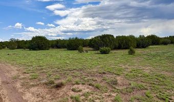 85 CR 8128 Lots 100 101 & 108, Concho, AZ 85924
