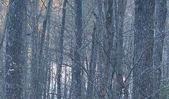 Tbd Strawberry Branch, Scaly Mountain, NC 28775