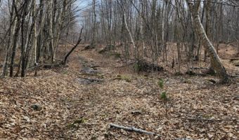 0 Clarks/Woodland Trl 409-4, Alexandria, NH 03220