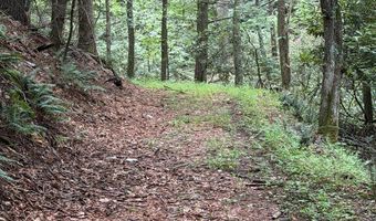 Hall Hollow Road, Austinville, VA 24312