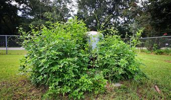 201 Green Shade Rd, Bainbridge, GA 39819