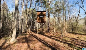 439 WILD ROSE Trl, Ashville, AL 35953