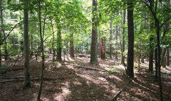 TBA BETTYS BRANCH RD X, Arvonia, VA 23004