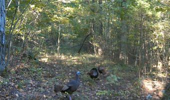 Whiskey Creek Lane, Batesville, AR 72501