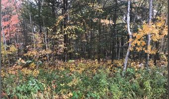 Lot 113 162nd Avenue, Apple River, WI 54810