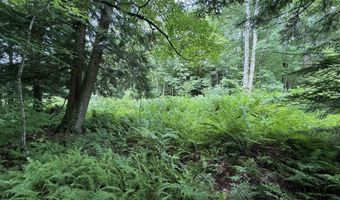 1386 Clif Reynolds Rd, Cambridge, VT 05444
